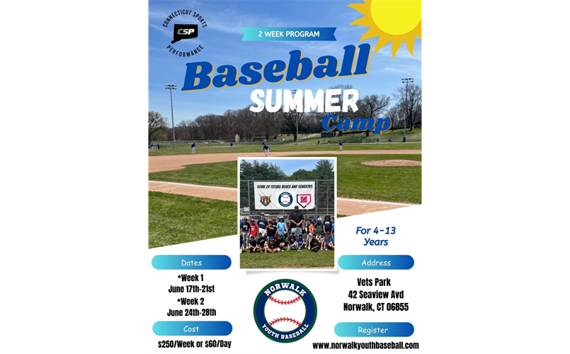 NYB Summer Baseball Camps